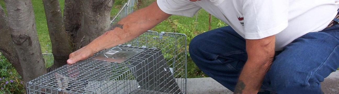 Century Pest Lockhart