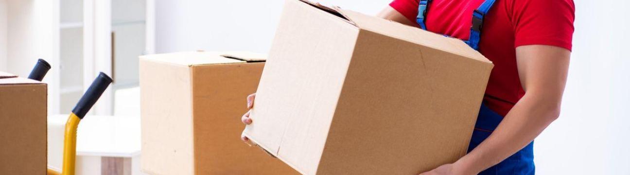 Spider Packers And Movers