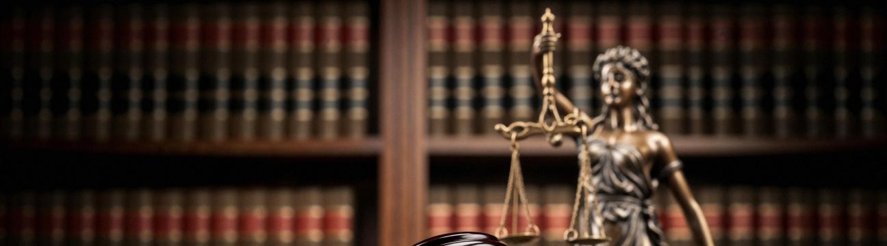 Mughal Law  Firm