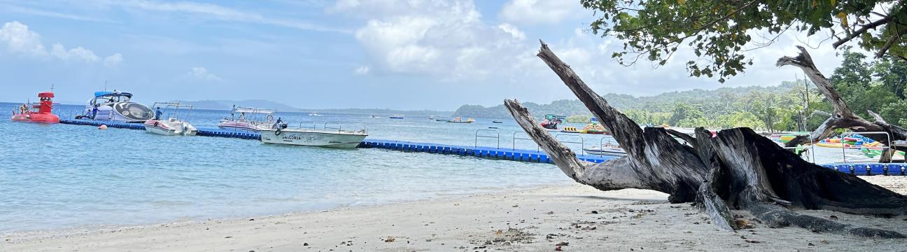 Go Andaman Holidays