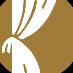 Curtainin Abudhabi