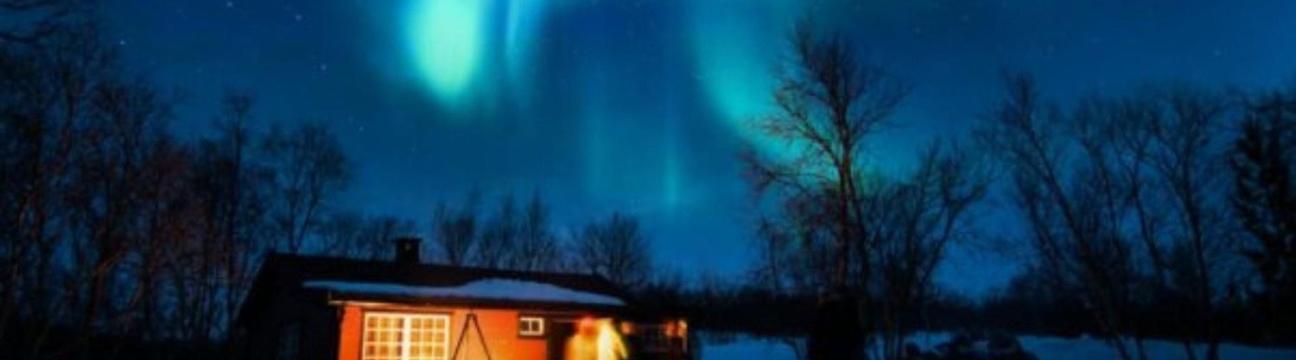 Arctic Midnight Group