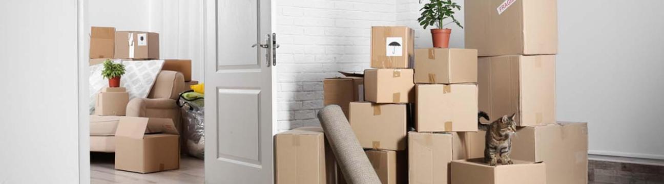 Movers And Packers In Dubai