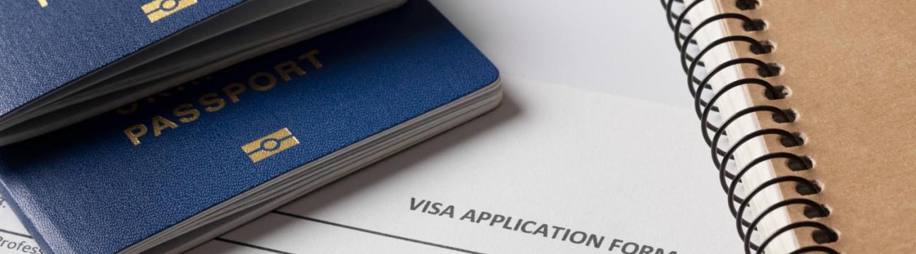 Aim Migration  Consultants