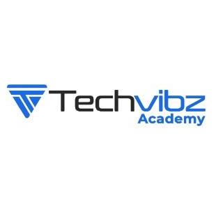 Techvibz Academy